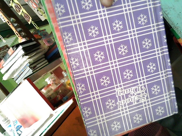 SMALL SCHOOL DIARY