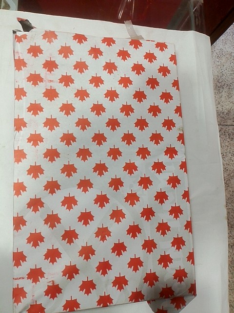 CREATIVE 70 GSM LEGAL SIZE