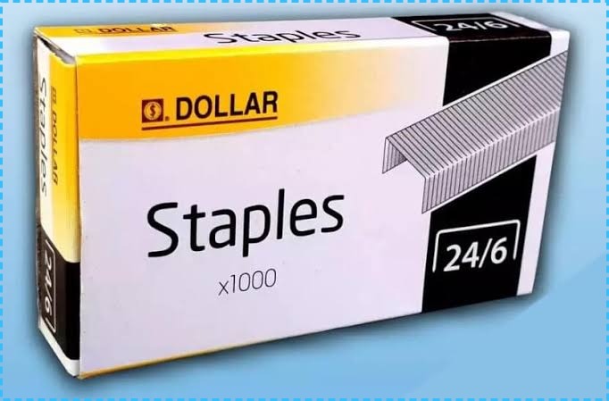 DOLLAR STAPILER PIN 24/6